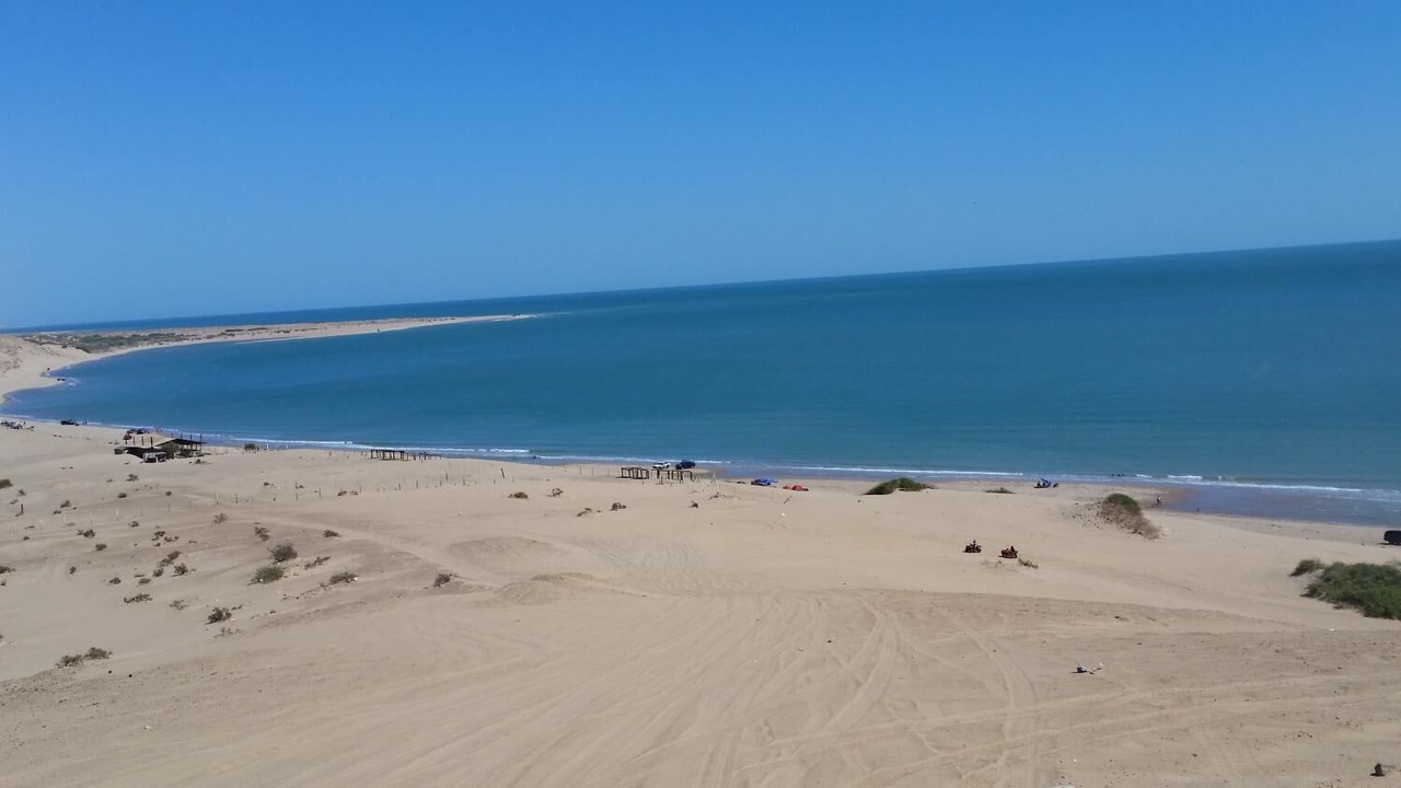 Photo of Others in Golfo de Santa Clara