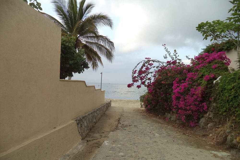 Photo of Outdoor in La Puntilla