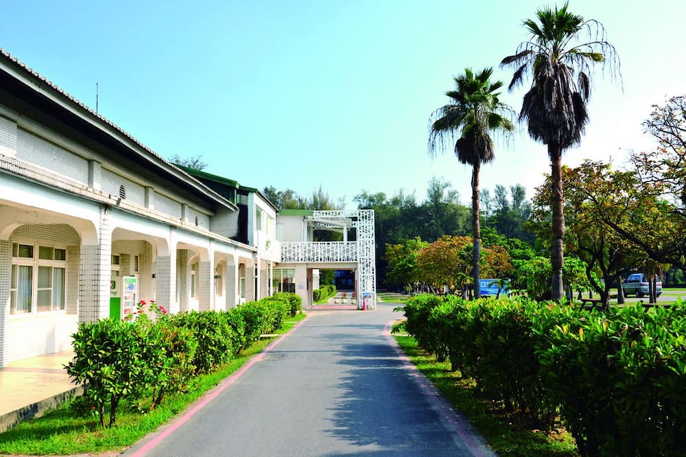 Photo of Outdoor in Niaosong District