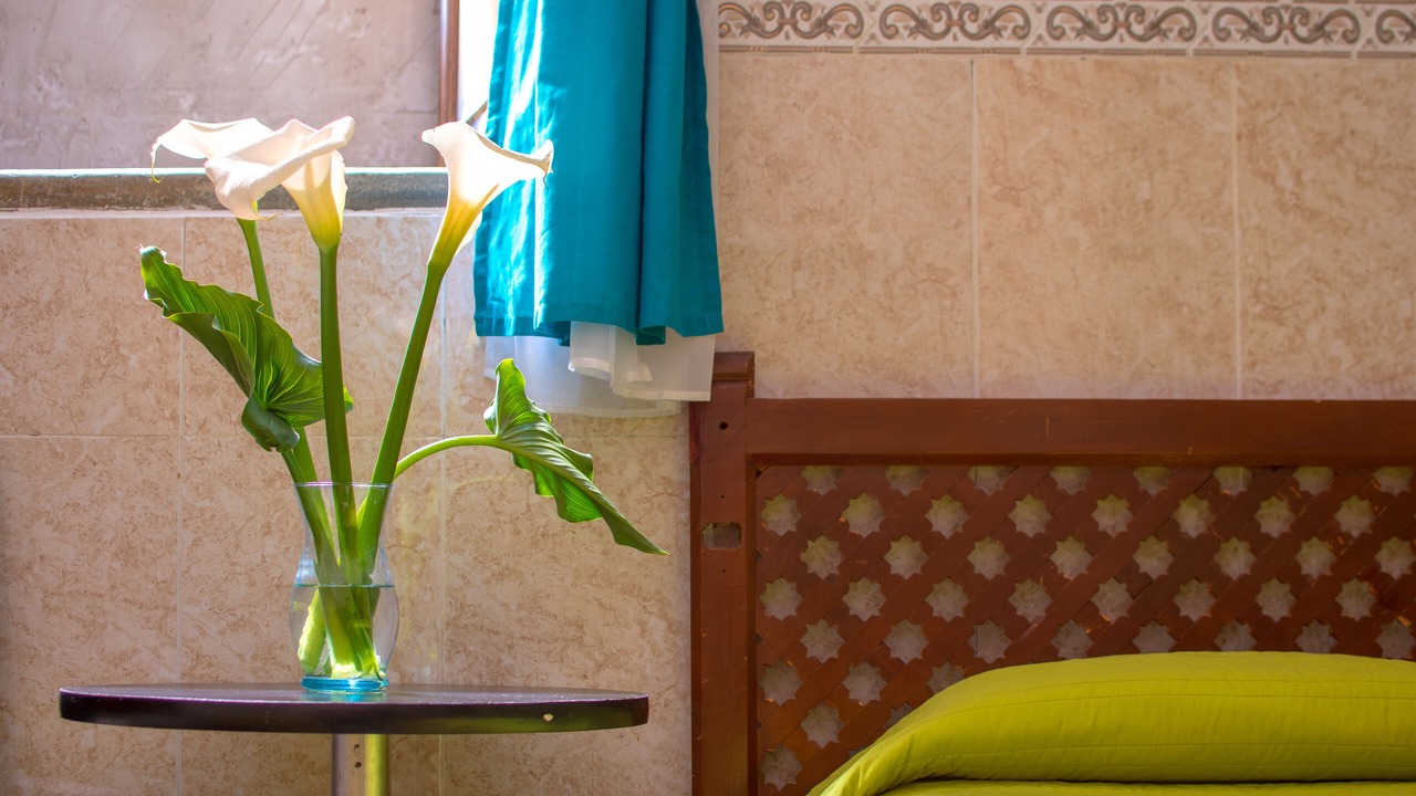 Photo of Bedroom in Zona Centro