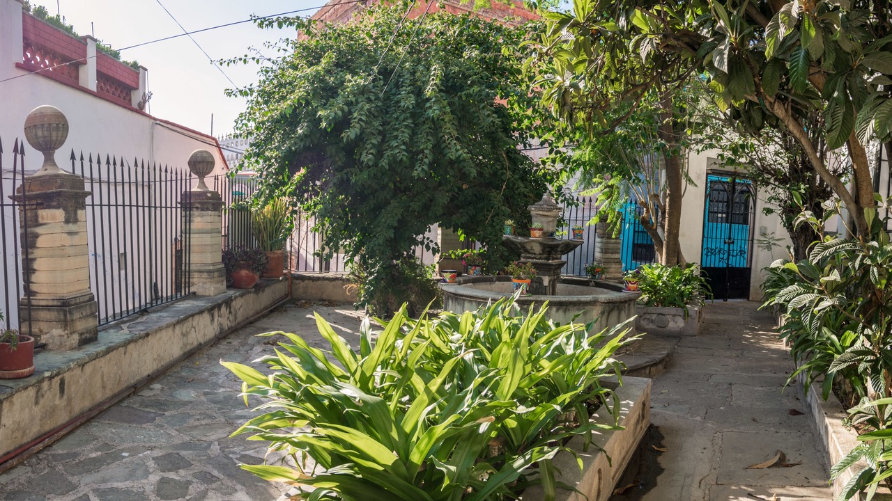 Photo of Outdoor in Zona Centro