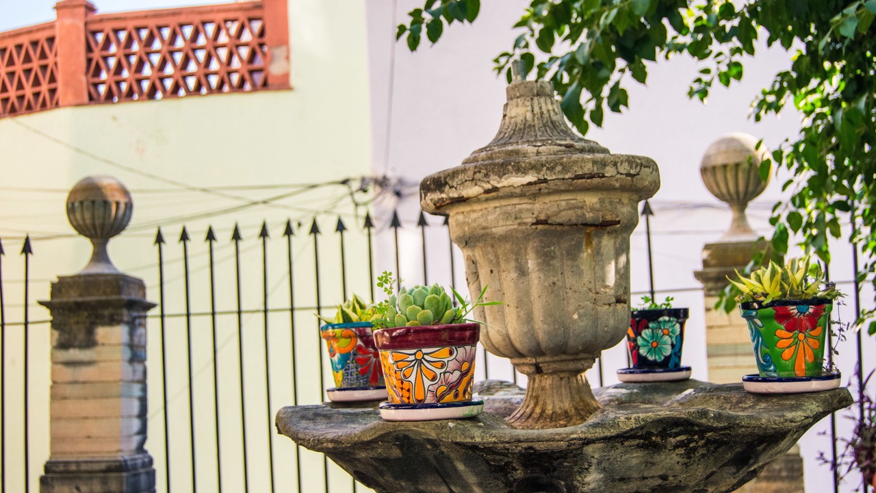 Photo of Outdoor in Zona Centro