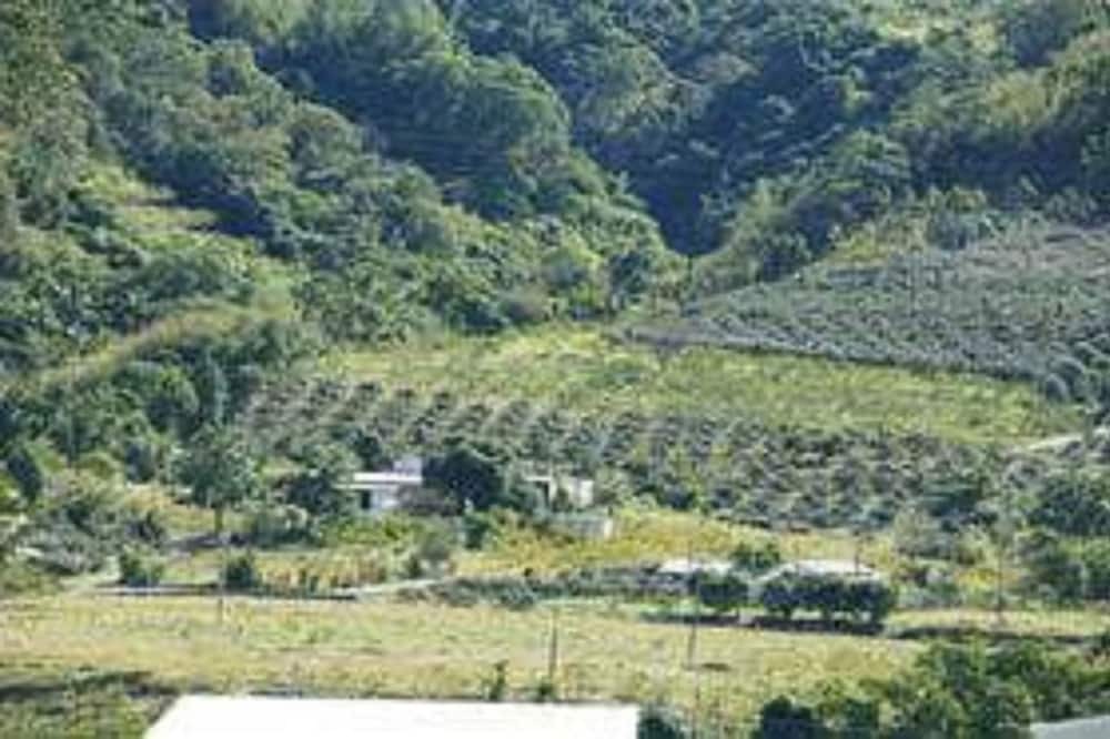 Photo of Outdoor in Beinan