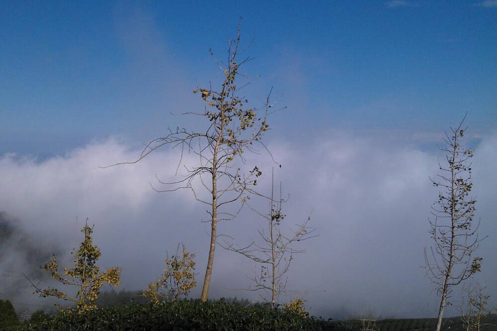Photo of Outdoor in Xitou