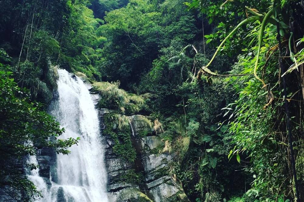Photo of Outdoor in Xitou