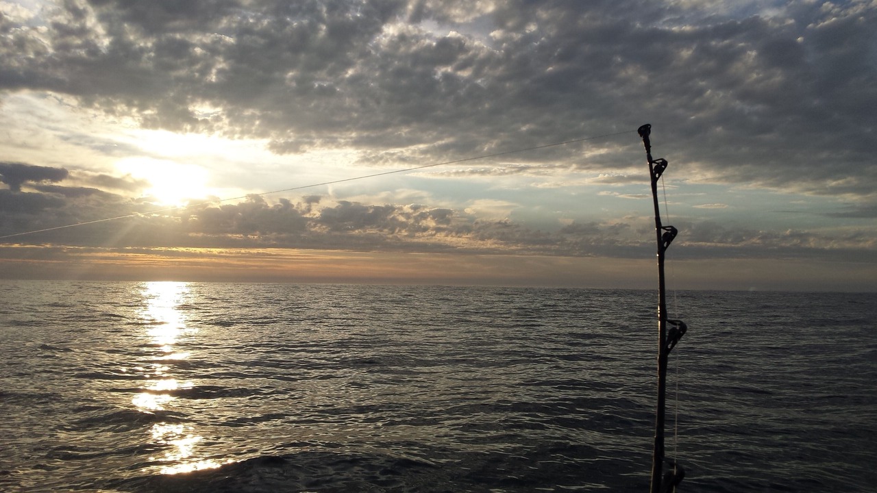 Photo of Others in Caleta de Campos