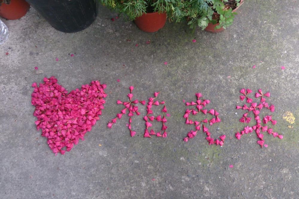 Photo of Outdoor in Ren'ai