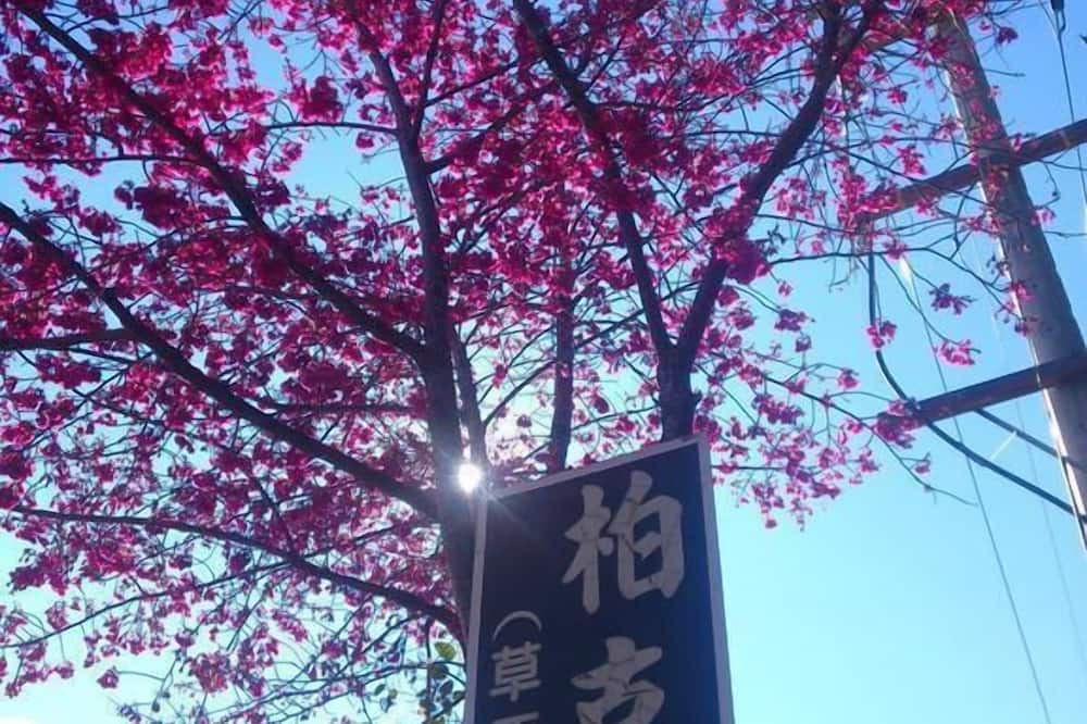 Photo of Outdoor in Ren'ai