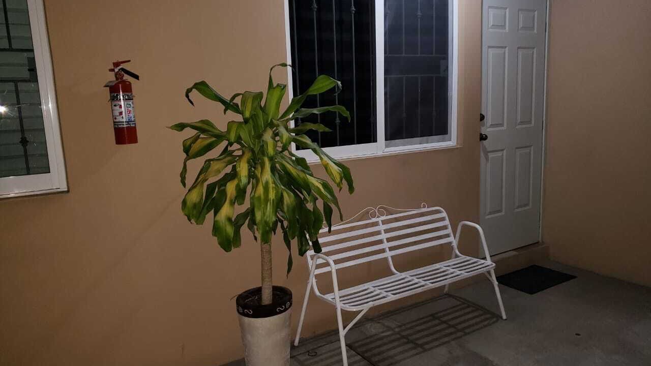 Photo of Outdoor in FERROCARRIL