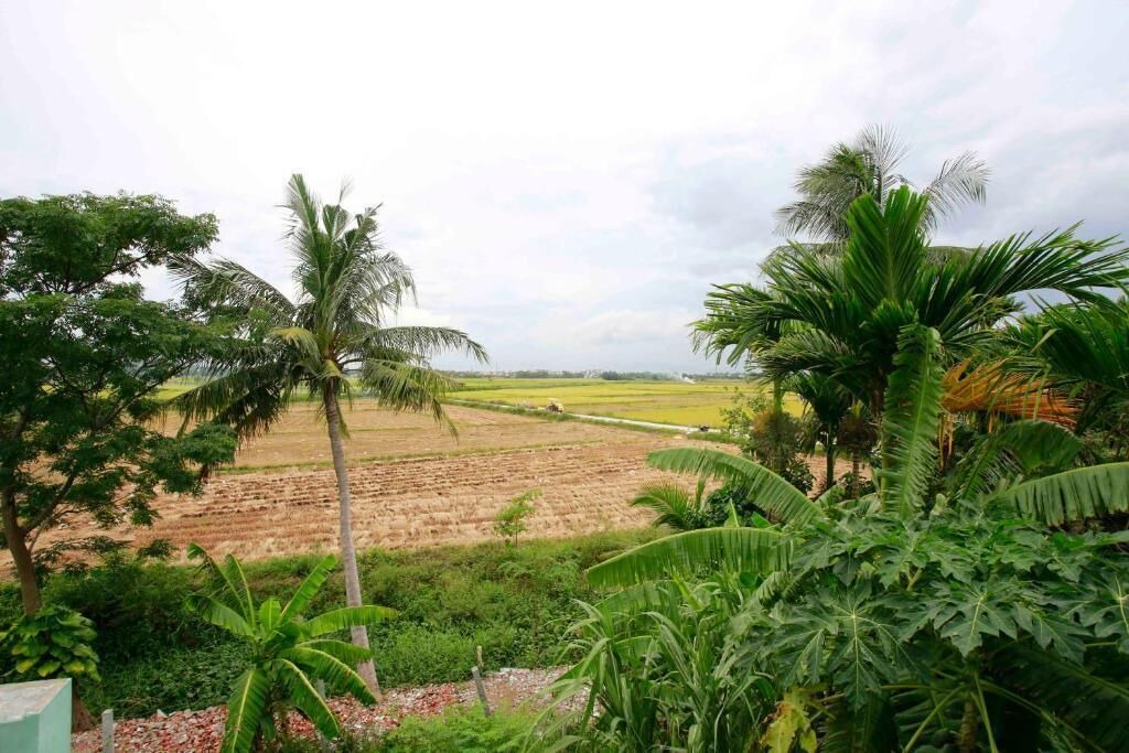 Photo of Outdoor in Hoi An City Centre