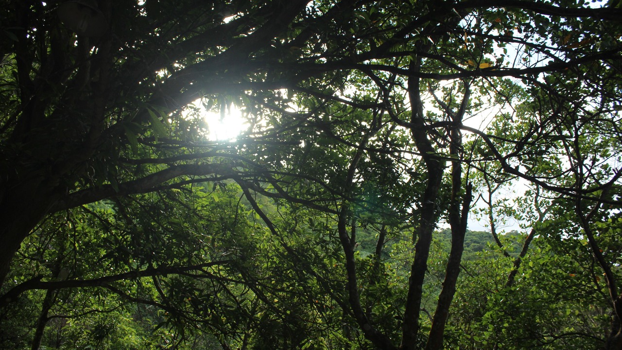 Photo of Outdoor in Cham Island