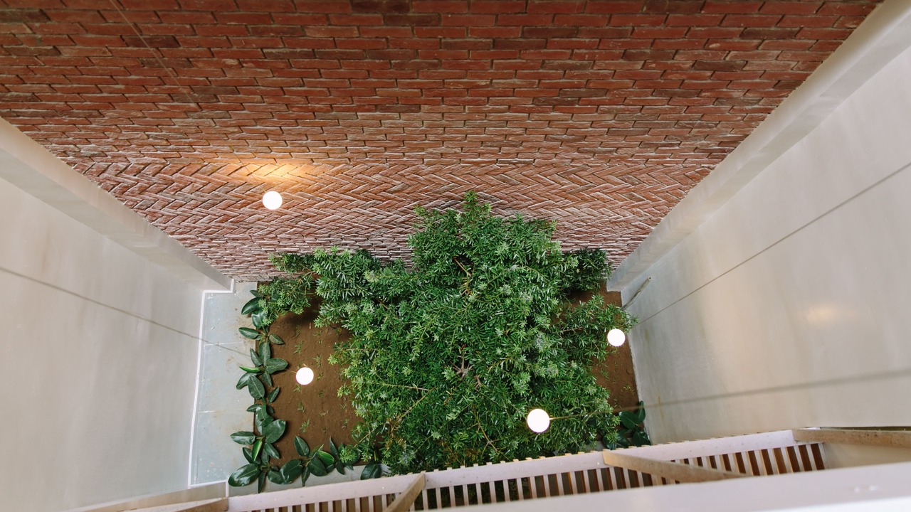 Photo of Patio Balcony in Bao Loc