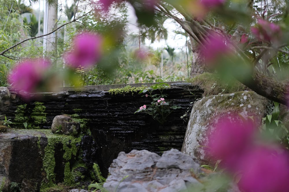Photo of Outdoor in Lugu