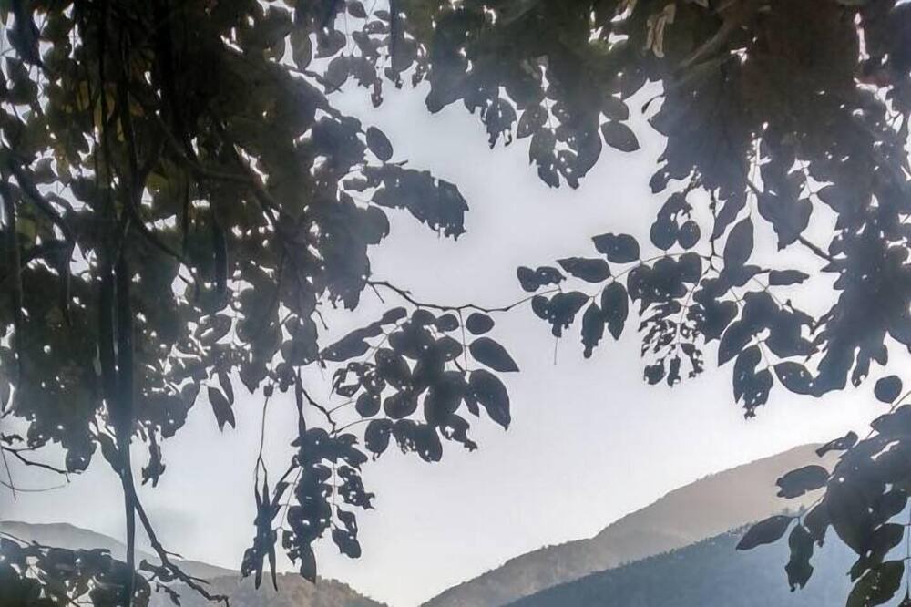 Photo of Outdoor in Puli