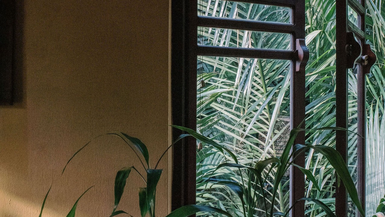 Photo of Bedroom in Cam Thanh