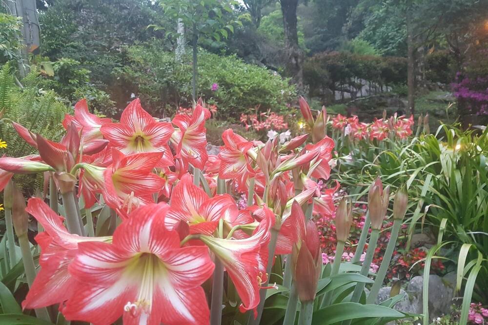 Photo of Outdoor in Fuxing District