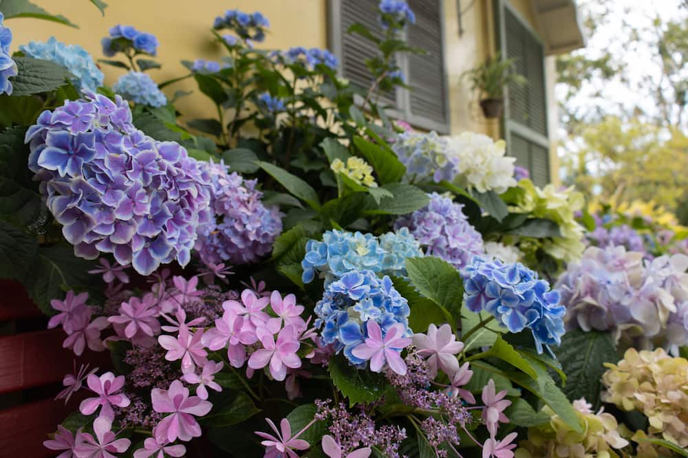 Photo of Patio Balcony in Fuxing District