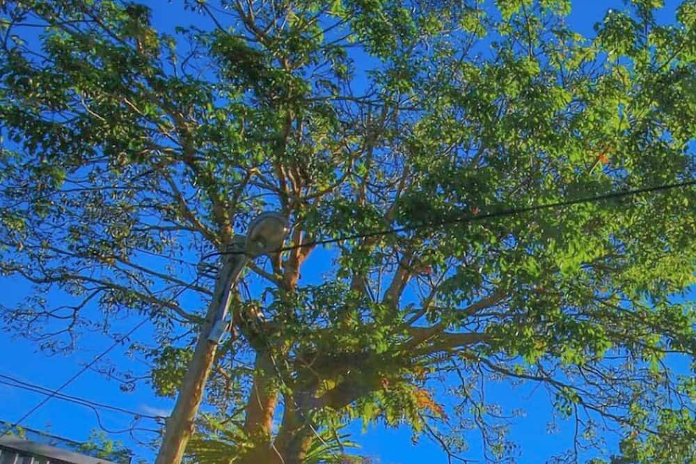 Photo of Outdoor in Fanlu