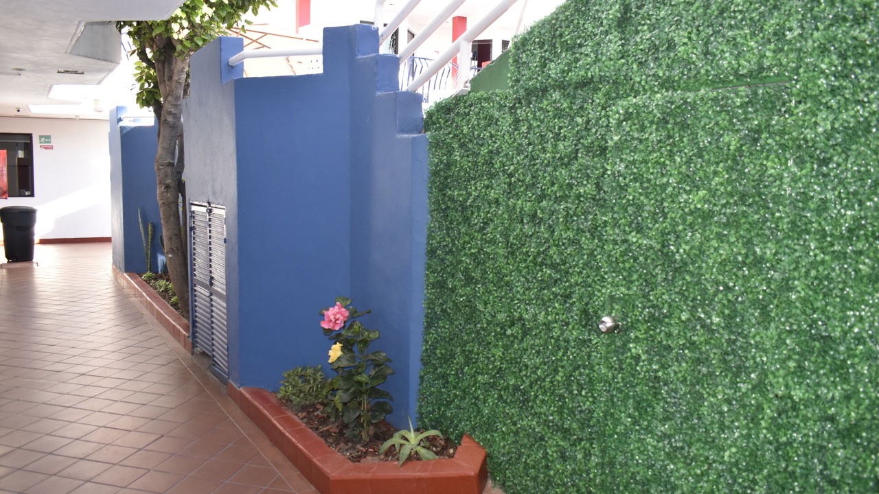 Photo of Outdoor in Rosarito