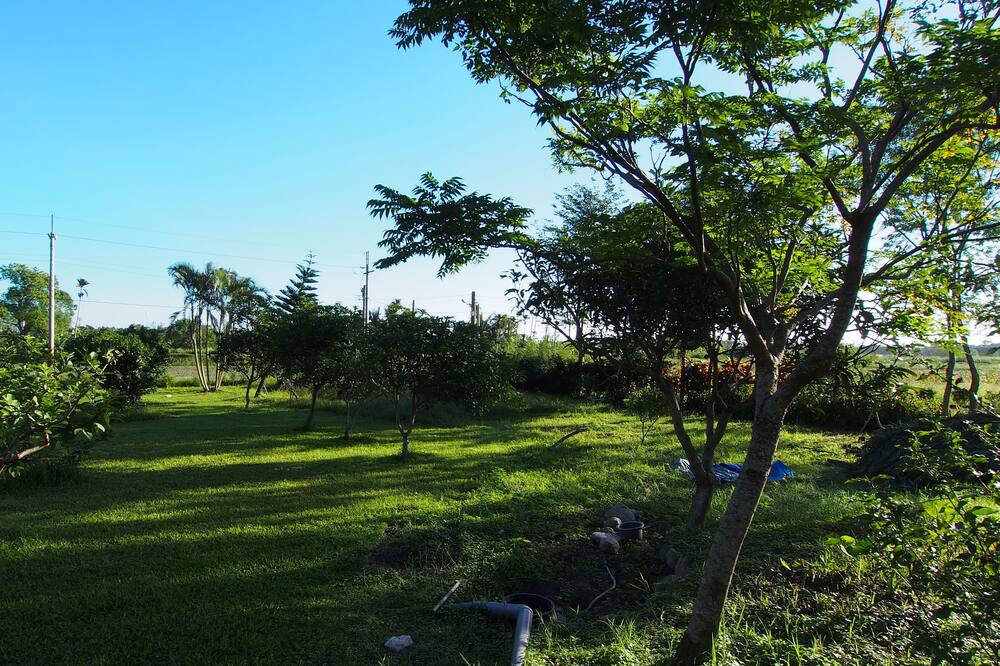 Photo of Outdoor in Xiulin