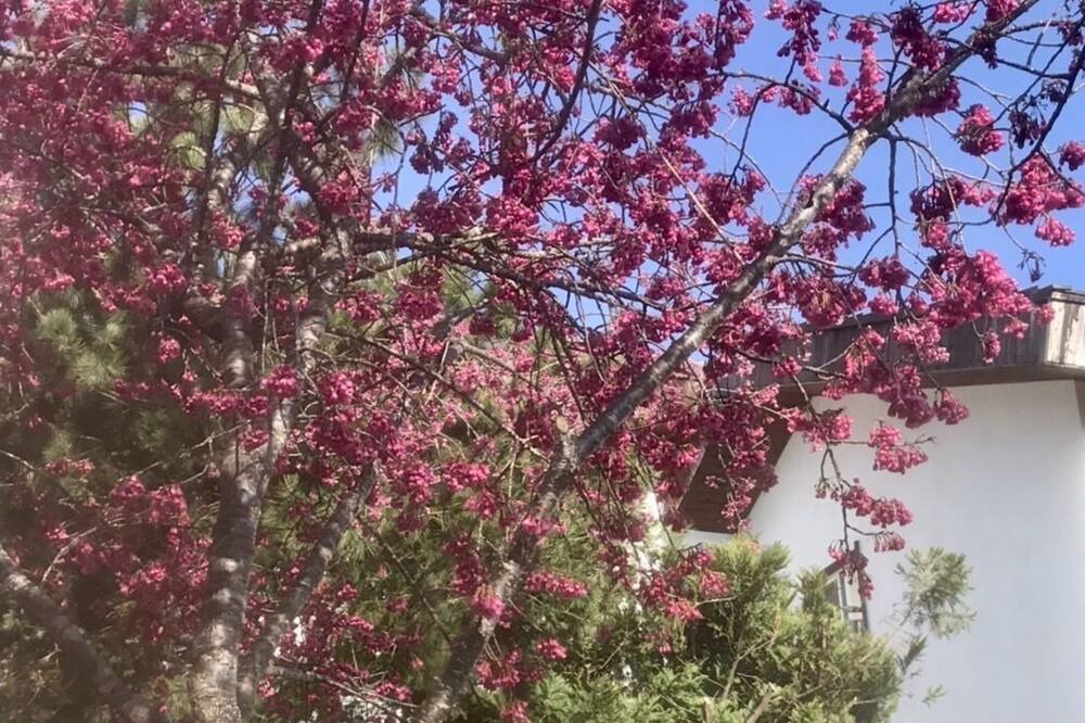 Photo of Outdoor in Ren'ai
