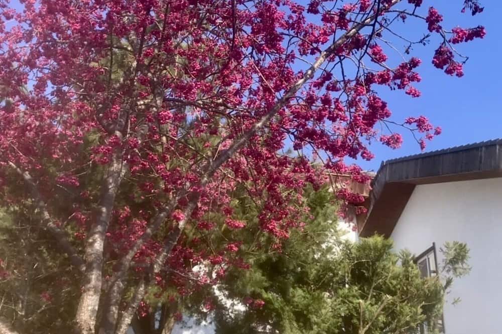 Photo of Outdoor in Ren'ai