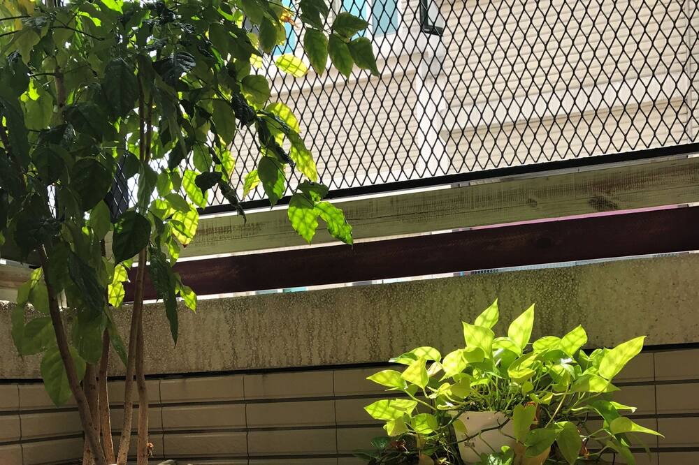 Photo of Bedroom in Hualien City Centre