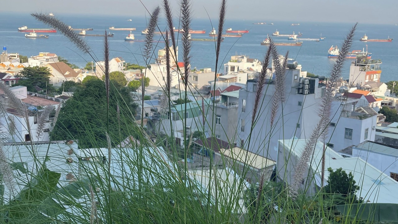 Photo of Outdoor in Vung Tau