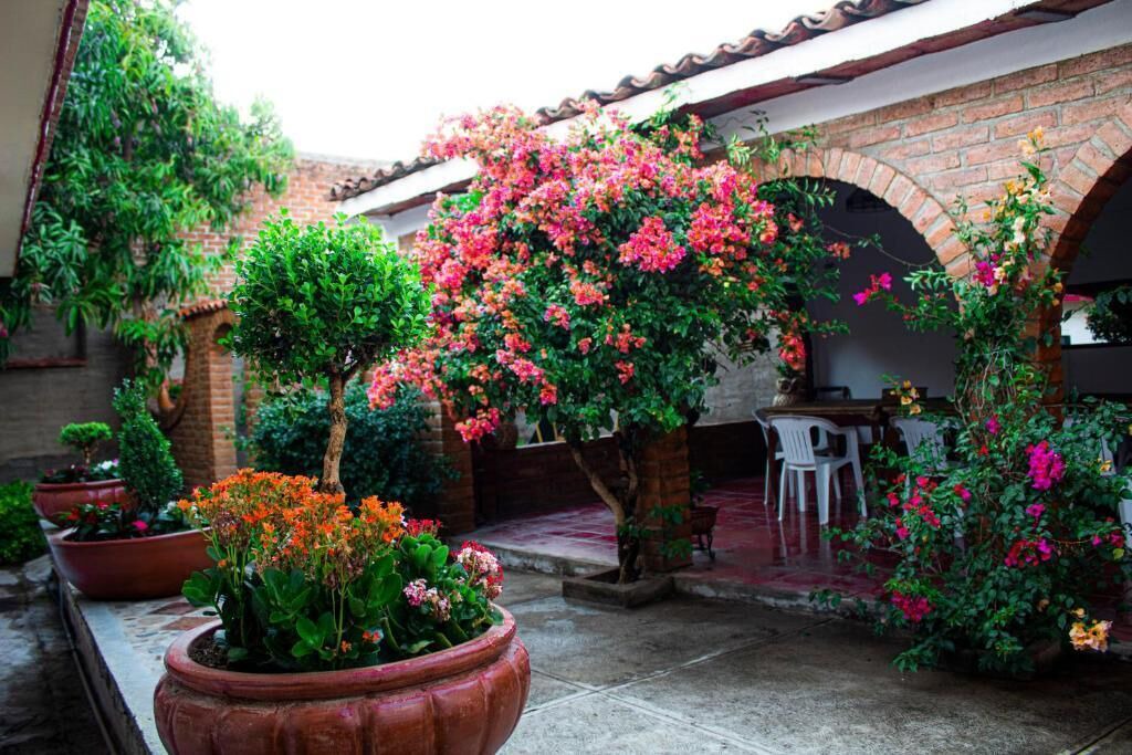 Photo of Outdoor in Mascota