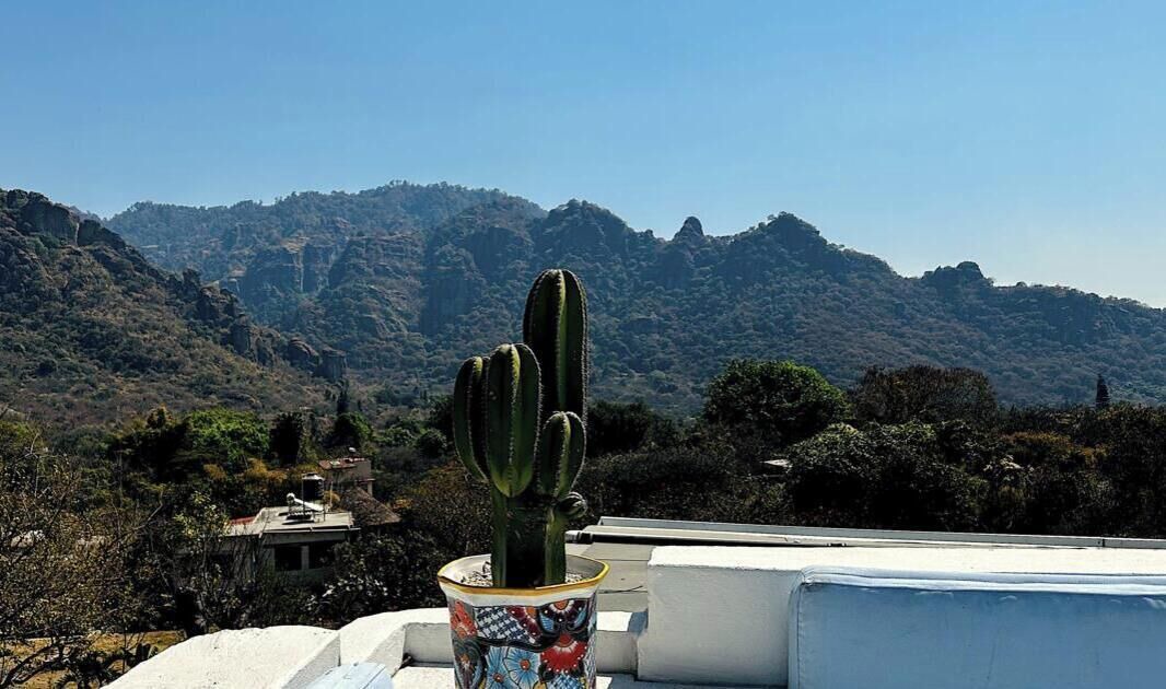 Photo of Outdoor in Amatlan