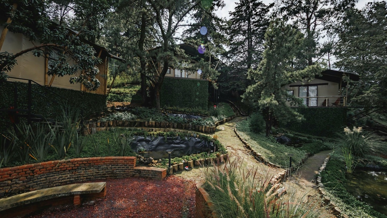 Photo of Bedroom in Tlalpan