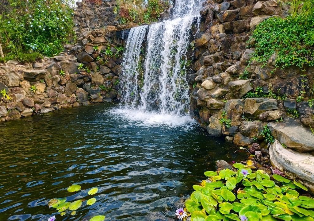 Photo of Outdoor in Amatlan