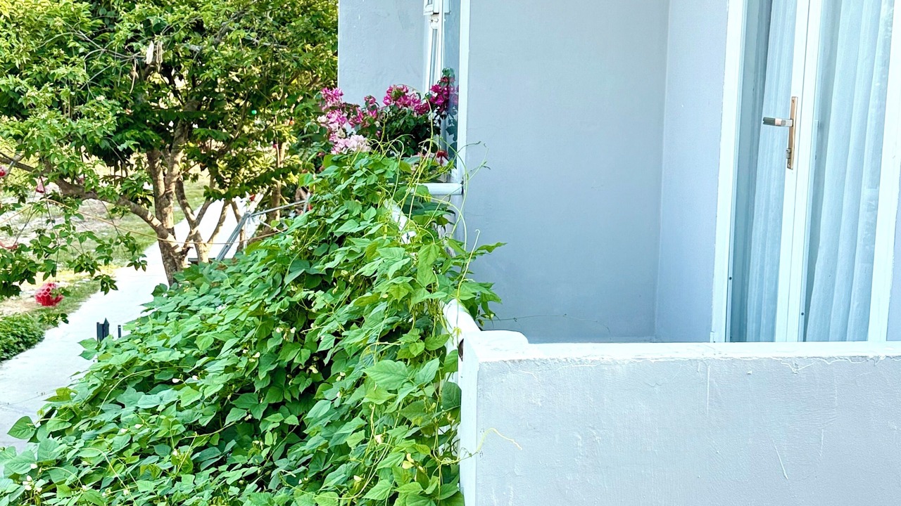 Photo of Patio Balcony in Duc Hoa