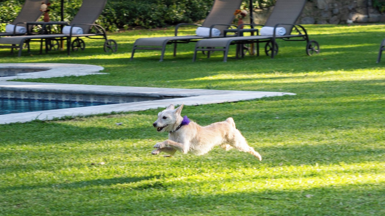 Photo of Outdoor in Zapopan