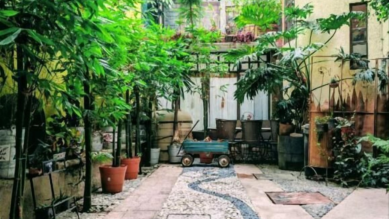 Photo of Outdoor in Del Carmen