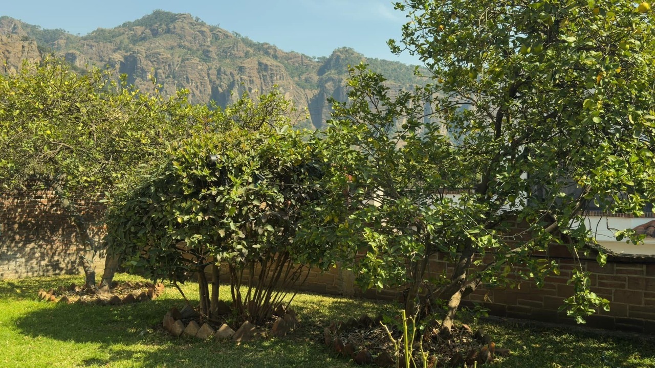 Photo of Outdoor in Santo Domingo