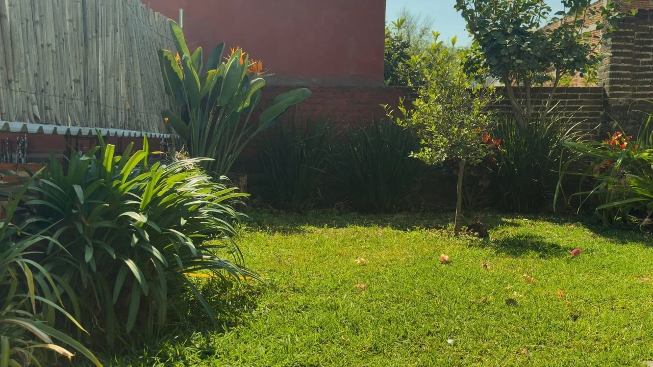 Photo of Outdoor in Santo Domingo