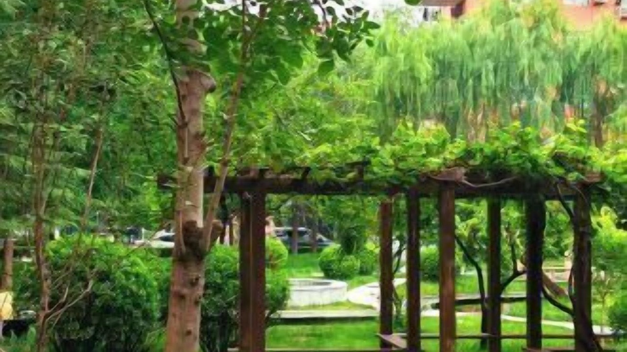 Photo of Outdoor in Fengtai
