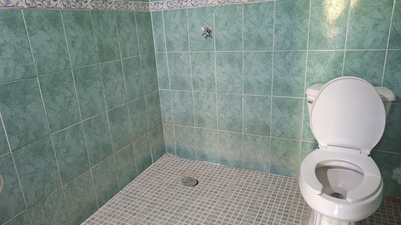 Photo of Bathroom in Saladita