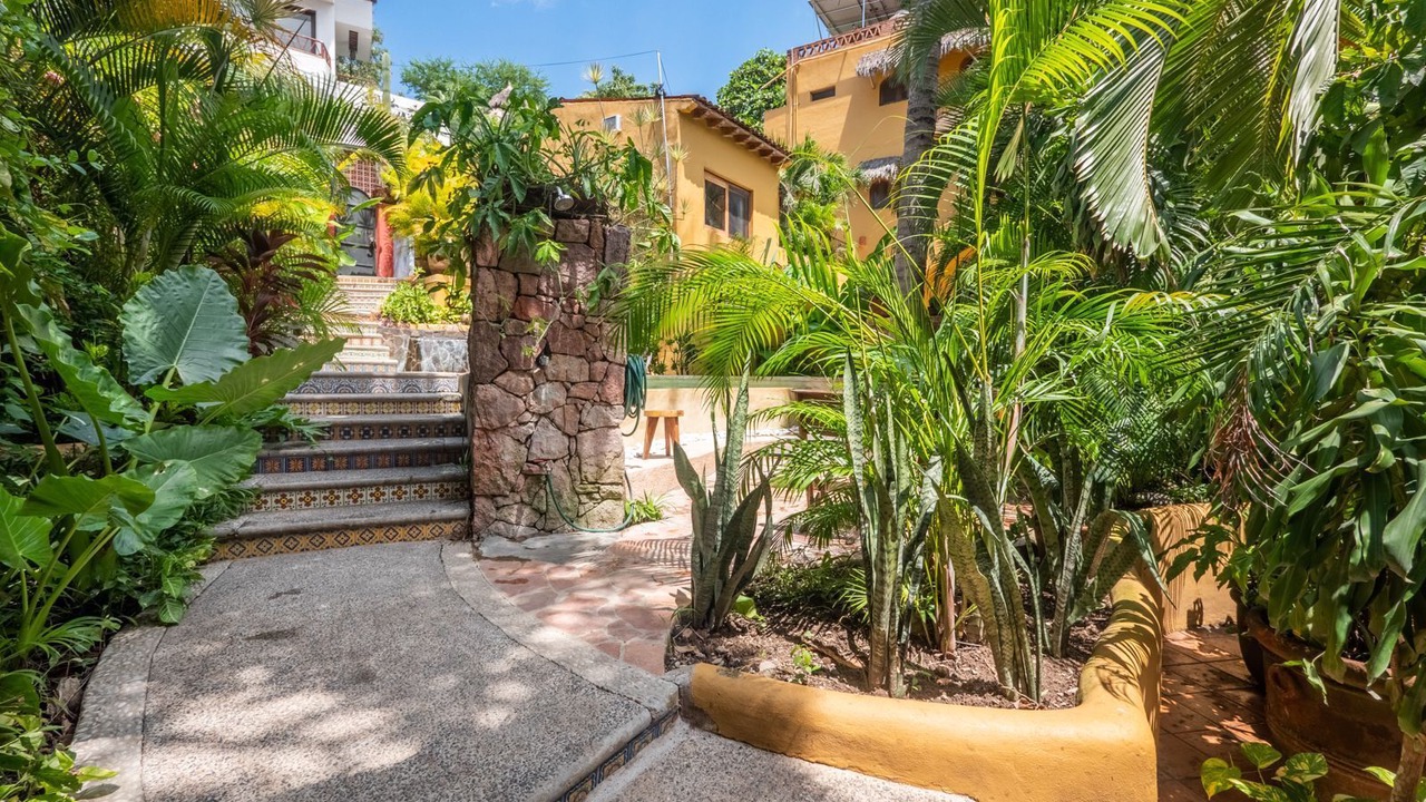 Photo of Outdoor in Sayulita