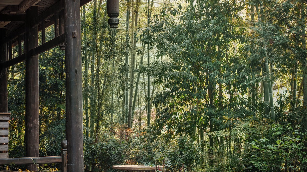 Photo of Outdoor in Tongren