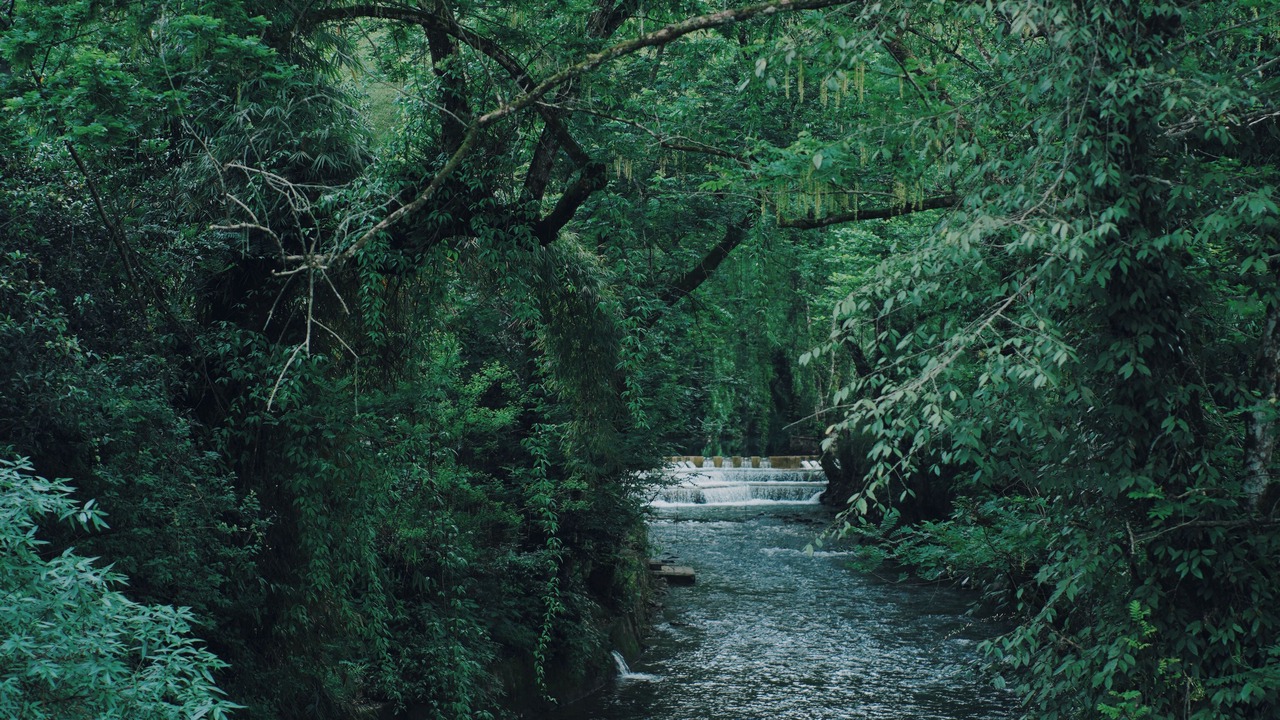 Photo of Outdoor in Tongren