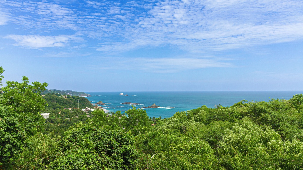 Photo of Others in Mazunte