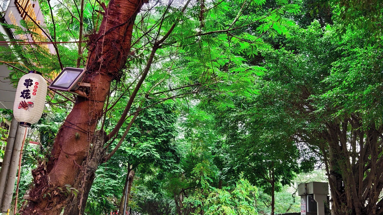 Photo of Outdoor in Cong Vi