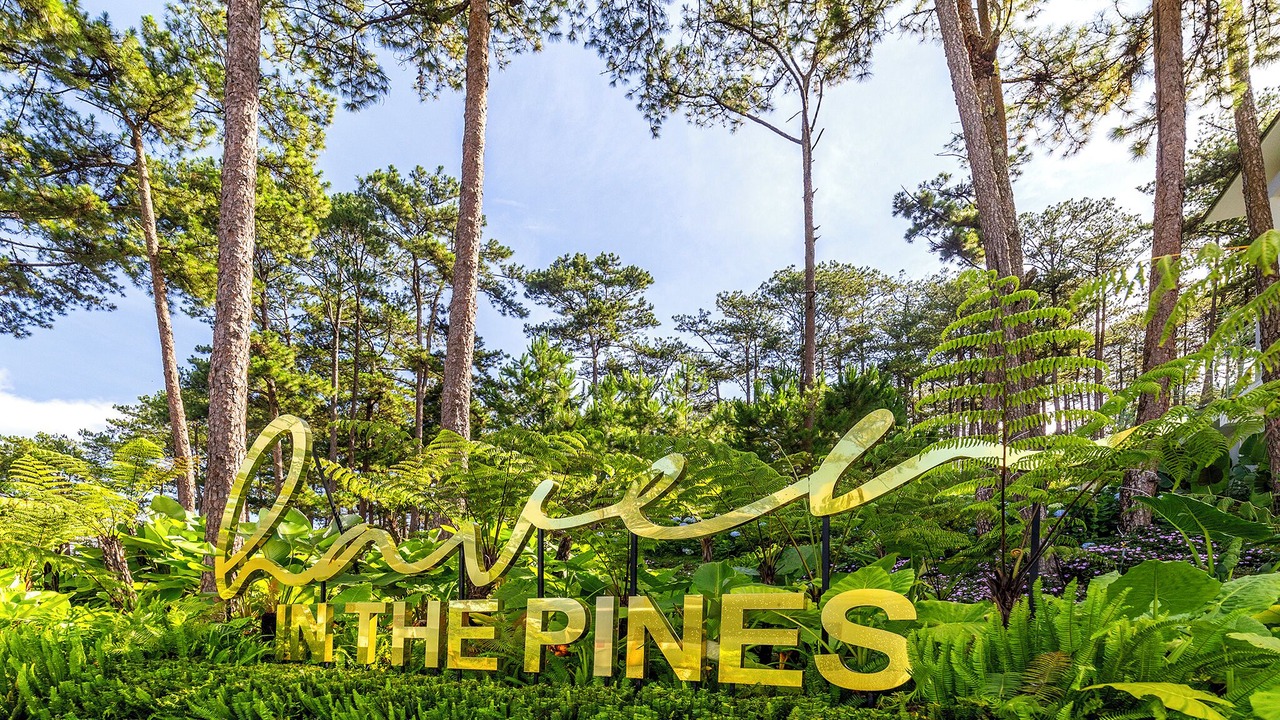 Photo of Outdoor in Da Lat