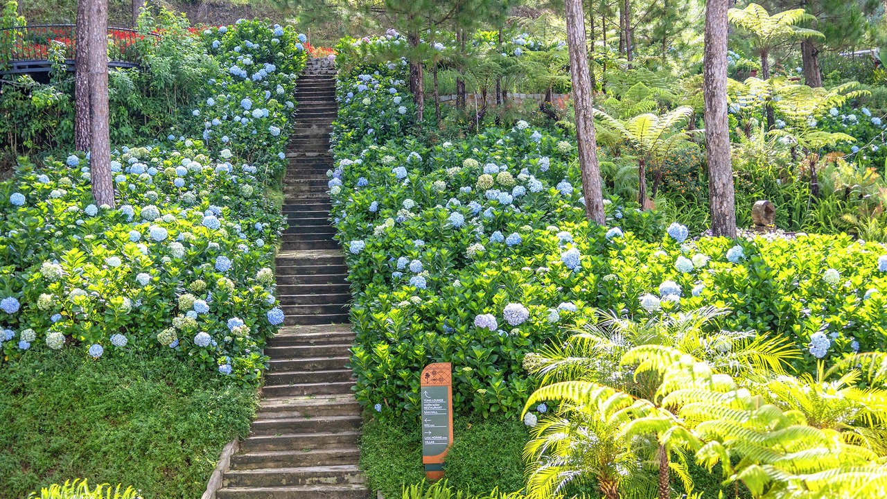 Photo of Outdoor in Da Lat