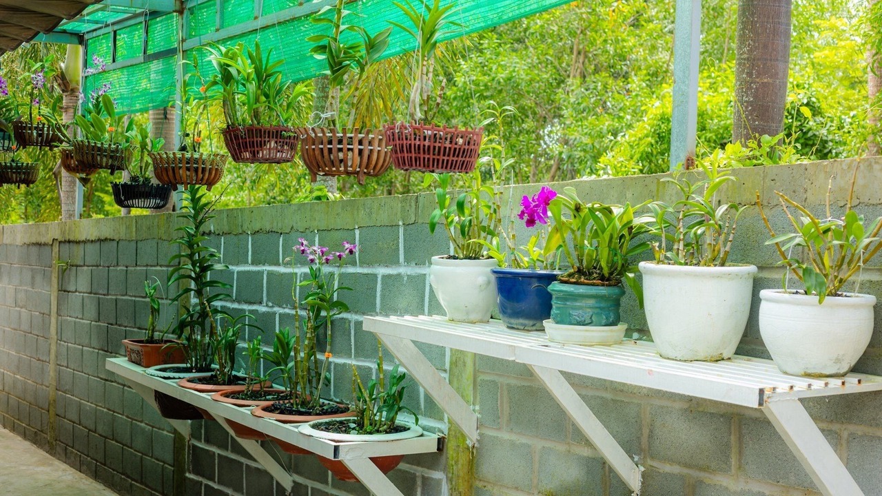 Photo of Outdoor in Ong Lang