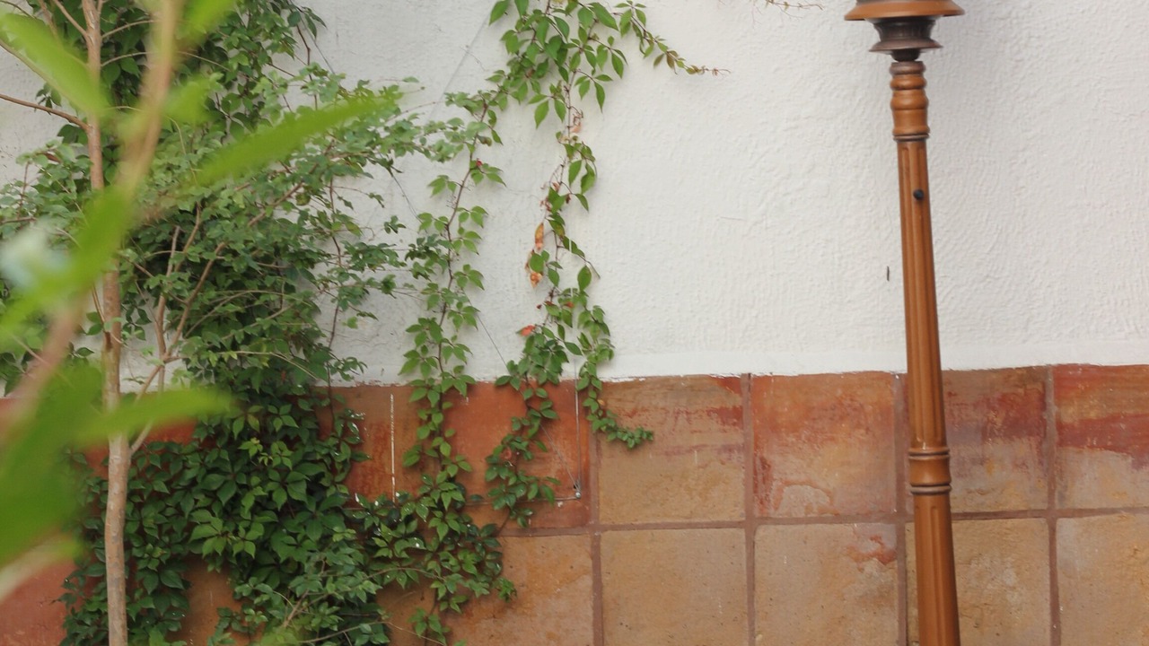 Photo of Outdoor in Santa Teresita