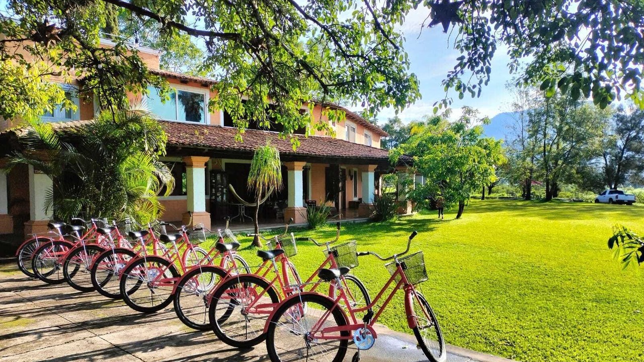 Photo of Outdoor in Mascota