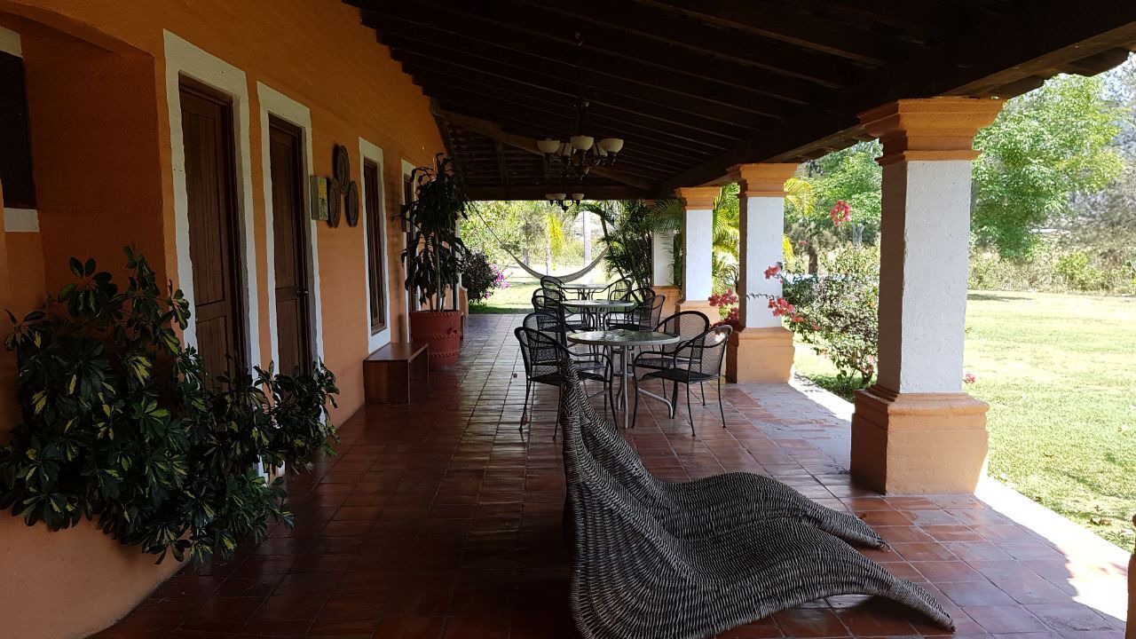 Photo of Livingroom in Mascota